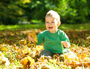 Image showing Little boy is playing in autumn park