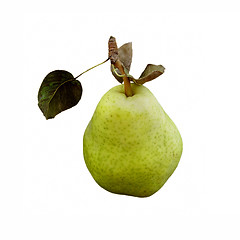 Image showing Pear