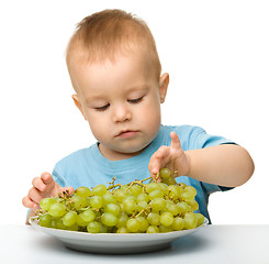 Image showing Little boy is eating grapes