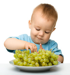 Image showing Little boy is eating grapes