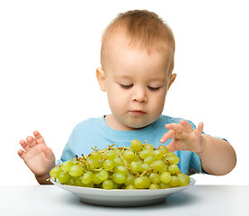 Image showing Little boy is eating grapes