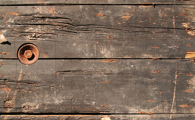 Image showing Decayed wood texture