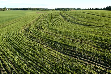 Image showing Norwegian agriculture