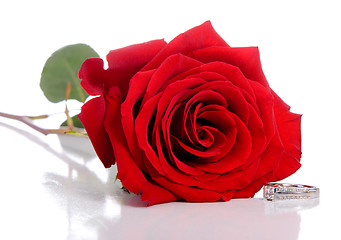 Image showing Diamond Ring and Rose