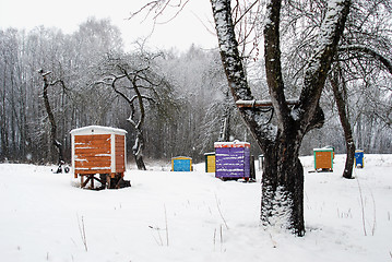 Image showing Hives cover snow colorful bee house winter tree 