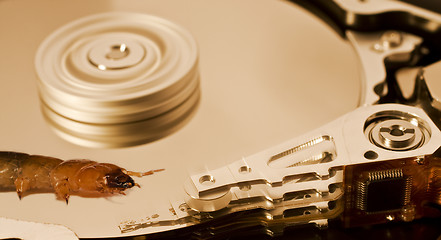 Image showing worm on hard disk