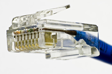 Image showing network plug