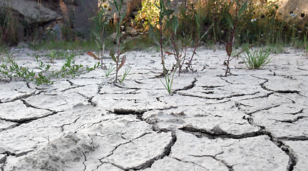 Image showing cracky desert border