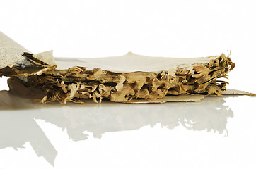 Image showing Termite-damaged Book