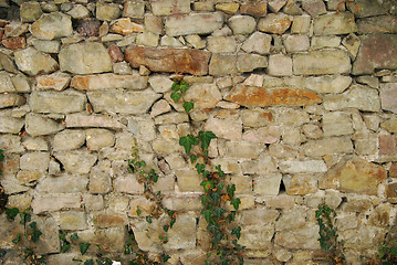 Image showing Stone park wall, ivy
