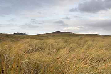 Image showing scottish hilly grassland