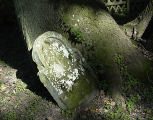 Image showing floodlit old gravestone with moss and lichen