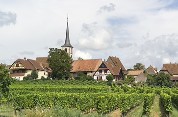 Image showing Mittelbergheim in France