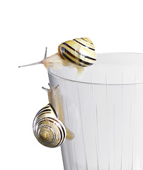 Image showing Grove snails on a drinking glass