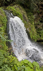 Image showing idyllic Triberg Waterfalls