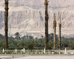 Image showing around the Mortuary Temple of Hatshepsut