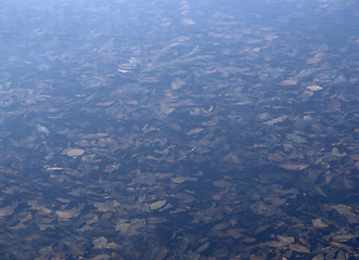 Image showing underwater leaves