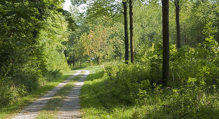 Image showing farm track in the Liliental