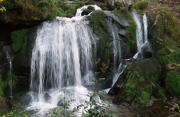 Image showing idyllic Triberg Waterfalls