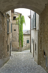 Image showing Radda in Chianti