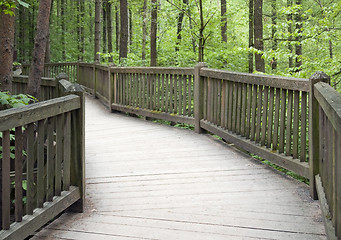 Image showing wooden bridge