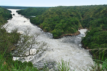 Image showing River Nile around Murchison Falls