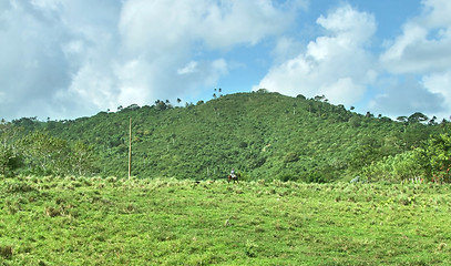 Image showing Dominican Republic