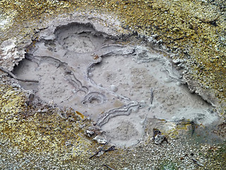 Image showing muddy hot spring detail