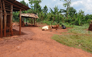 Image showing village near Bujagali Waterfalls