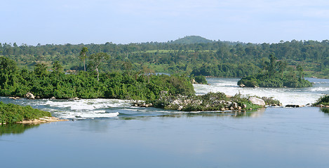 Image showing waterside River Nile scenery near Jinja in Uganda