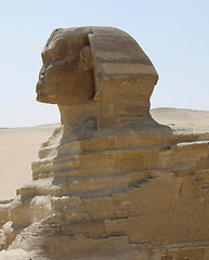 Image showing Sphinx detail