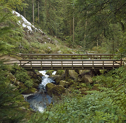 Image showing wooden bridge around Triberg Waterfalls