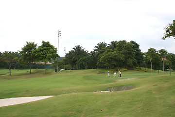 Image showing Golfers