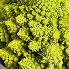 Image showing abstract romanesco cauliflower