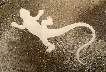 Image showing lizard silhouette on brown sand surface