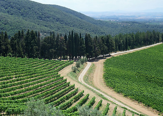 Image showing Chianti in Tuscany