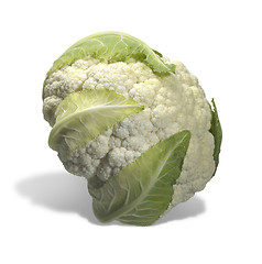 Image showing fresh cauliflower