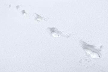 Image showing footmarks in the snow