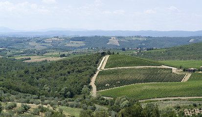 Image showing Chianti in Tuscany