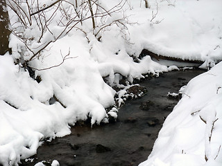 Image showing winter stream