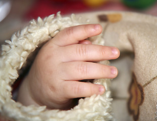 Image showing baby hand