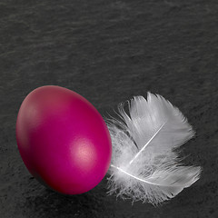 Image showing easter egg and down feathers
