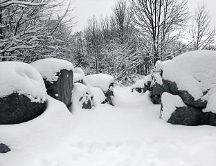 Image showing snow covered landscape and stones