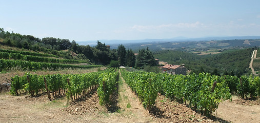 Image showing Chianti in Tuscany