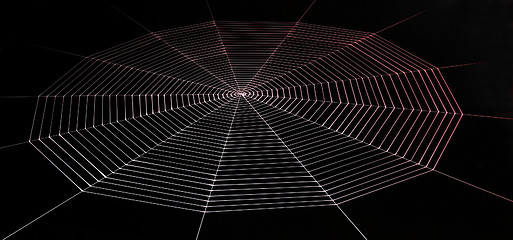 Image showing painted spiderweb