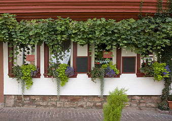 Image showing house facade in Miltenberg