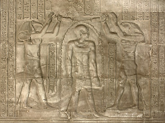 Image showing relief at the Temple of Kom Ombo