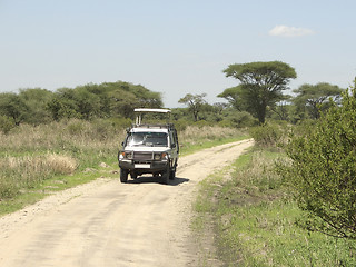 Image showing safari in the Serengeti