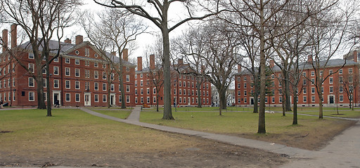 Image showing Harvard Yard in Cambridge