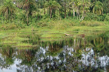 Image showing waterside vegetation in the Kabwoya Wildlife Reserve